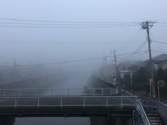 朝霧の鎌倉が見たい！｜霧が発生する仕組みを理解して霧の鎌倉を激写しよう！