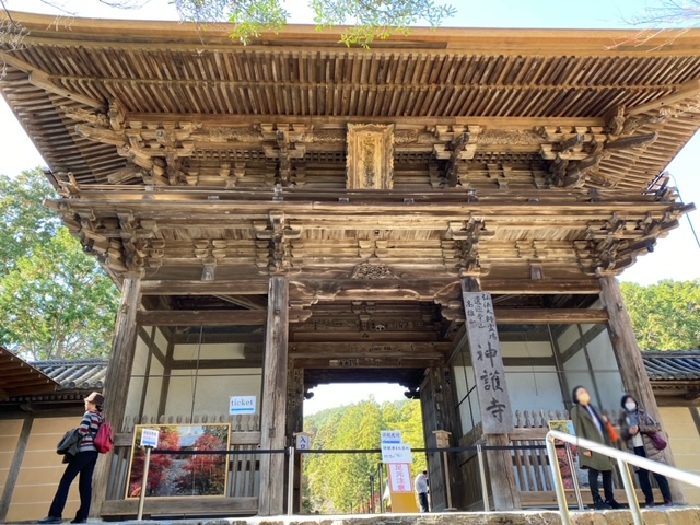 神護寺（京都）｜紅葉の名所で、文覚上人が再興、源頼朝と出会うきっかけともなった寺院