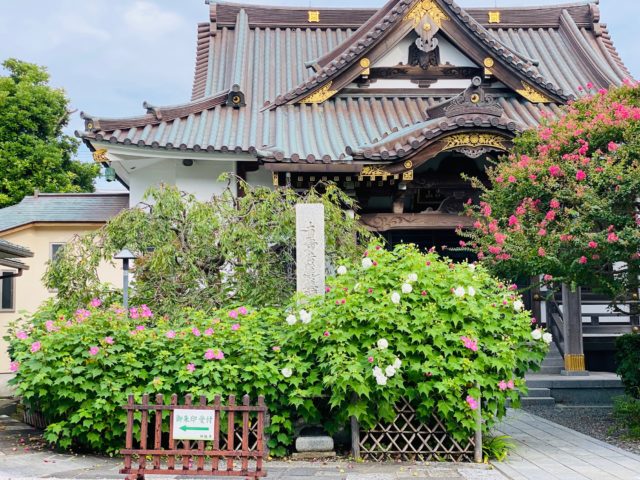 妙隆寺（鎌倉）｜千葉屋敷とも呼ばれる小町の日蓮宗寺院を徹底深堀り