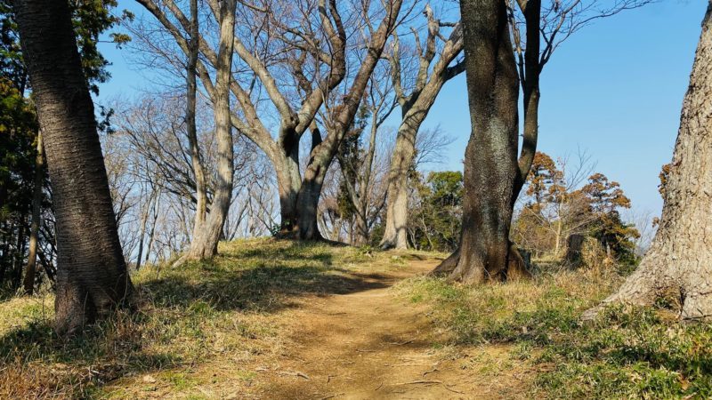 山崎・台峯緑地ハイキングコース｜コース上の見どころ・分岐点・公衆トイレ等を完全網羅